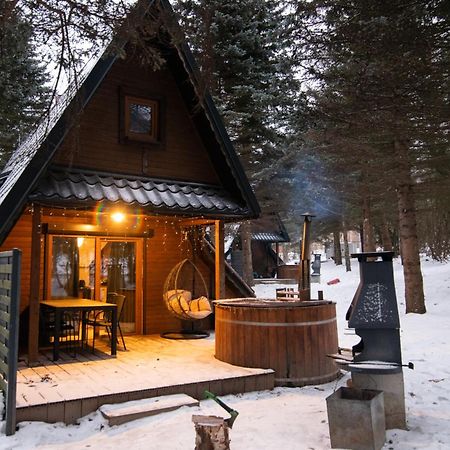 Oliwne Wzgorza Villa Stronie Slaskie Exterior photo