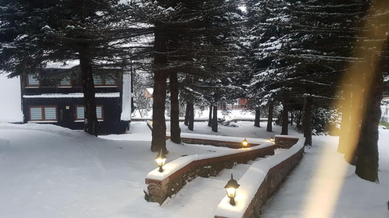 Oliwne Wzgorza Villa Stronie Slaskie Exterior photo