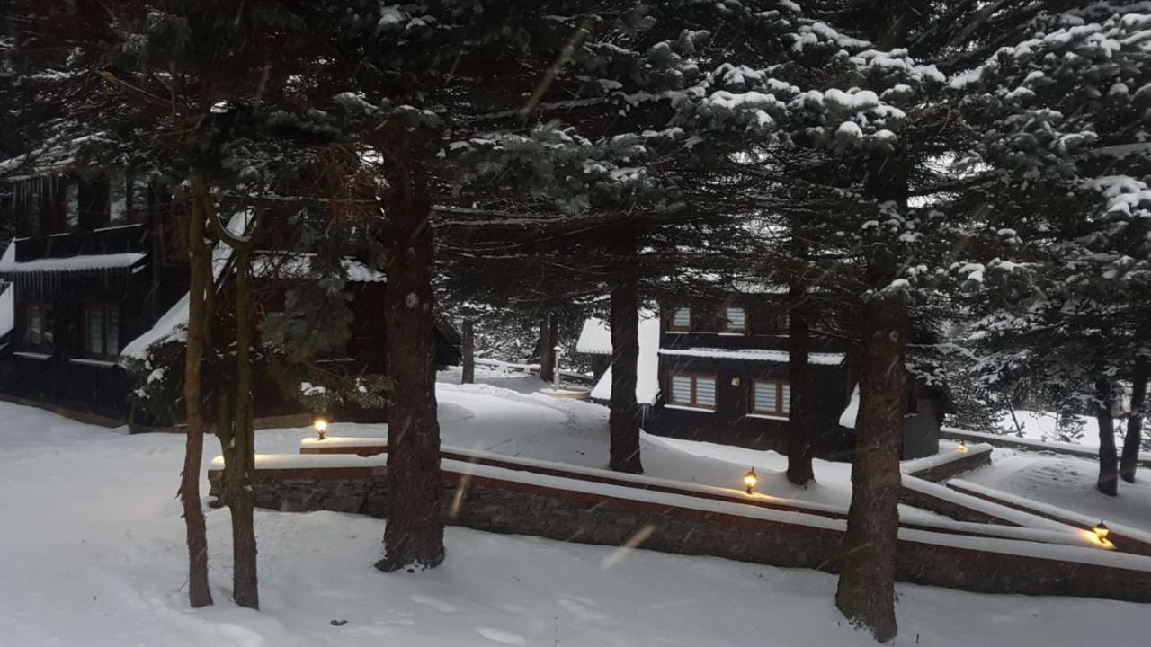 Oliwne Wzgorza Villa Stronie Slaskie Exterior photo